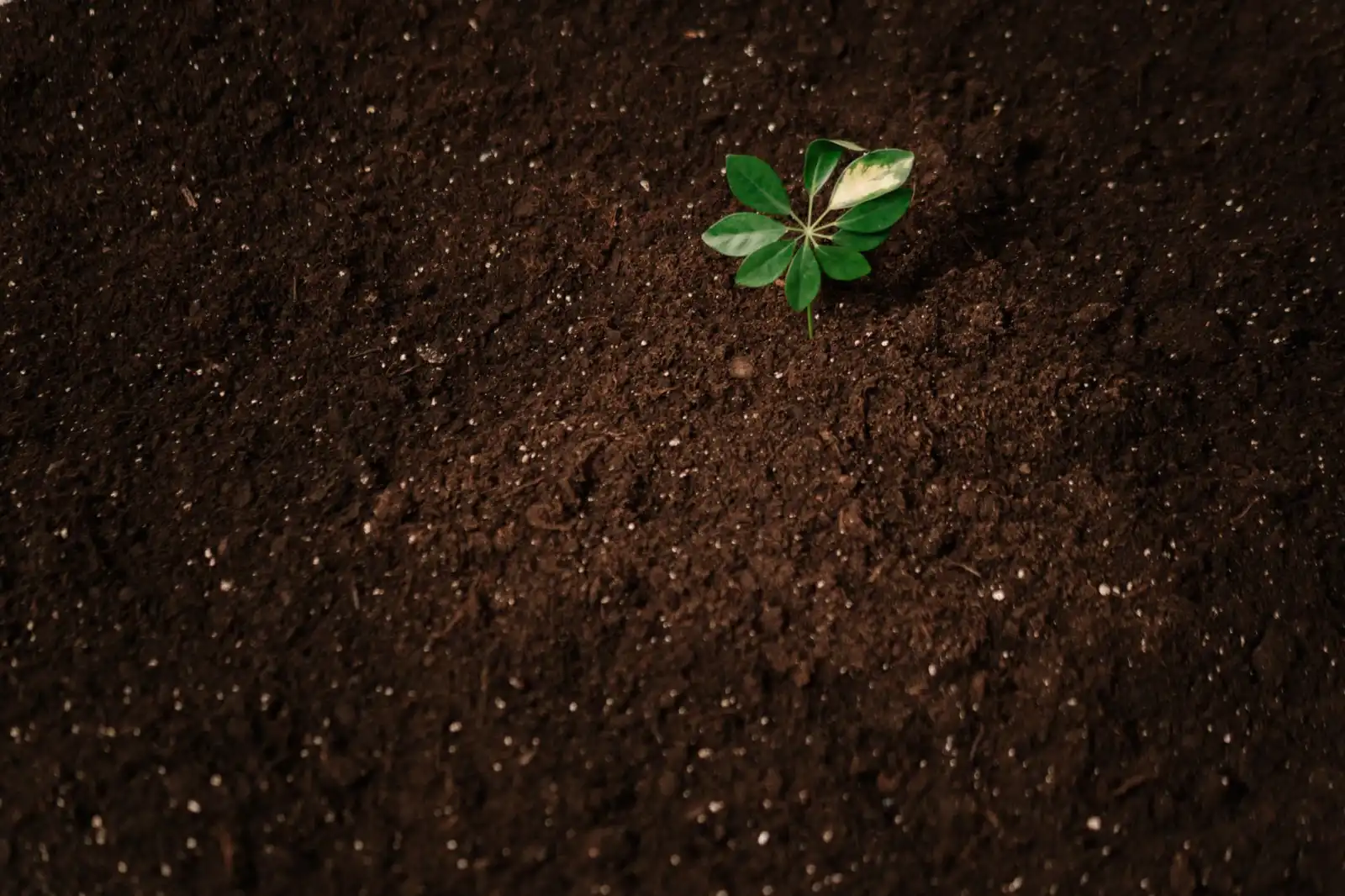 晋江磁灶镇皮肤管理技术升级：寒冰美容面部护理新方案解析
