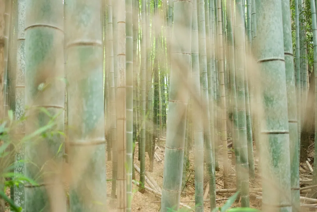 晋江磁灶寒冰美容面部护理技术流程与标准化操作要点