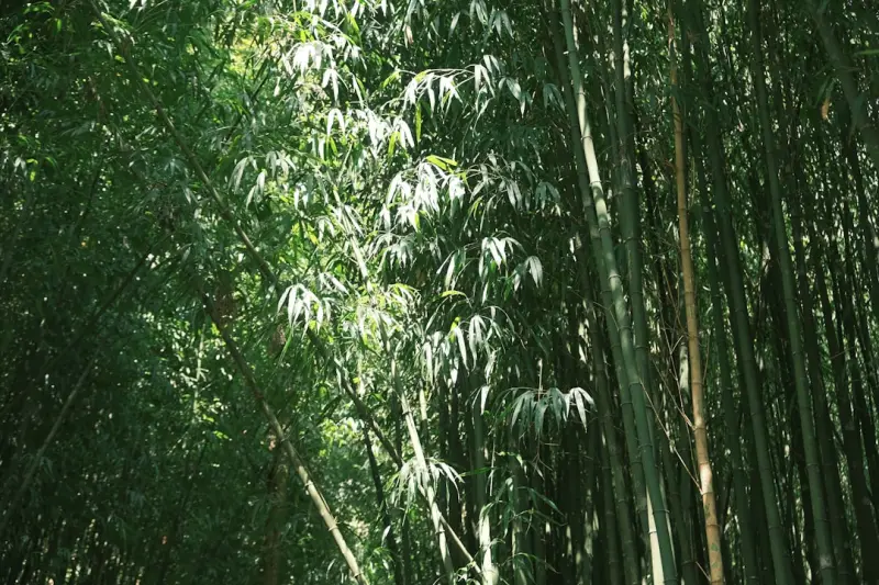晋江磁灶寒冰美容面部护理项目对比分析:基础清洁与深层修护方案