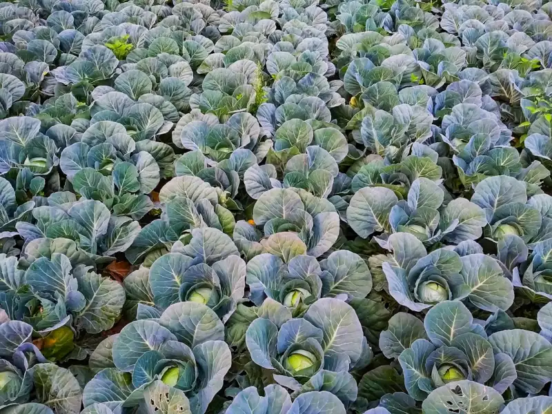 晋江寒冰美容：皮肤管理项目标准化操作流程与质控要点解析